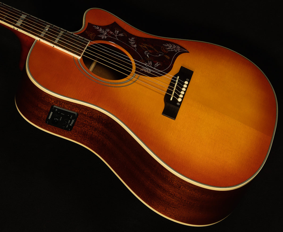 Inspired by Gibson Hummingbird Standard EC