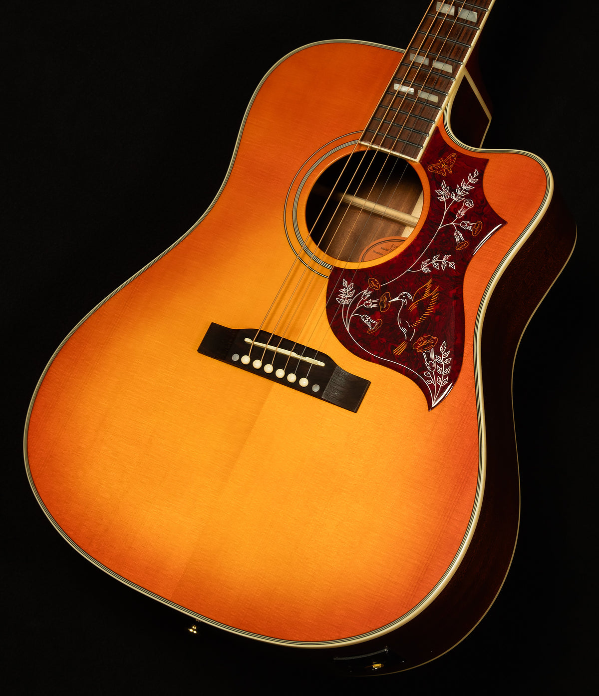 Inspired by Gibson Hummingbird Standard EC