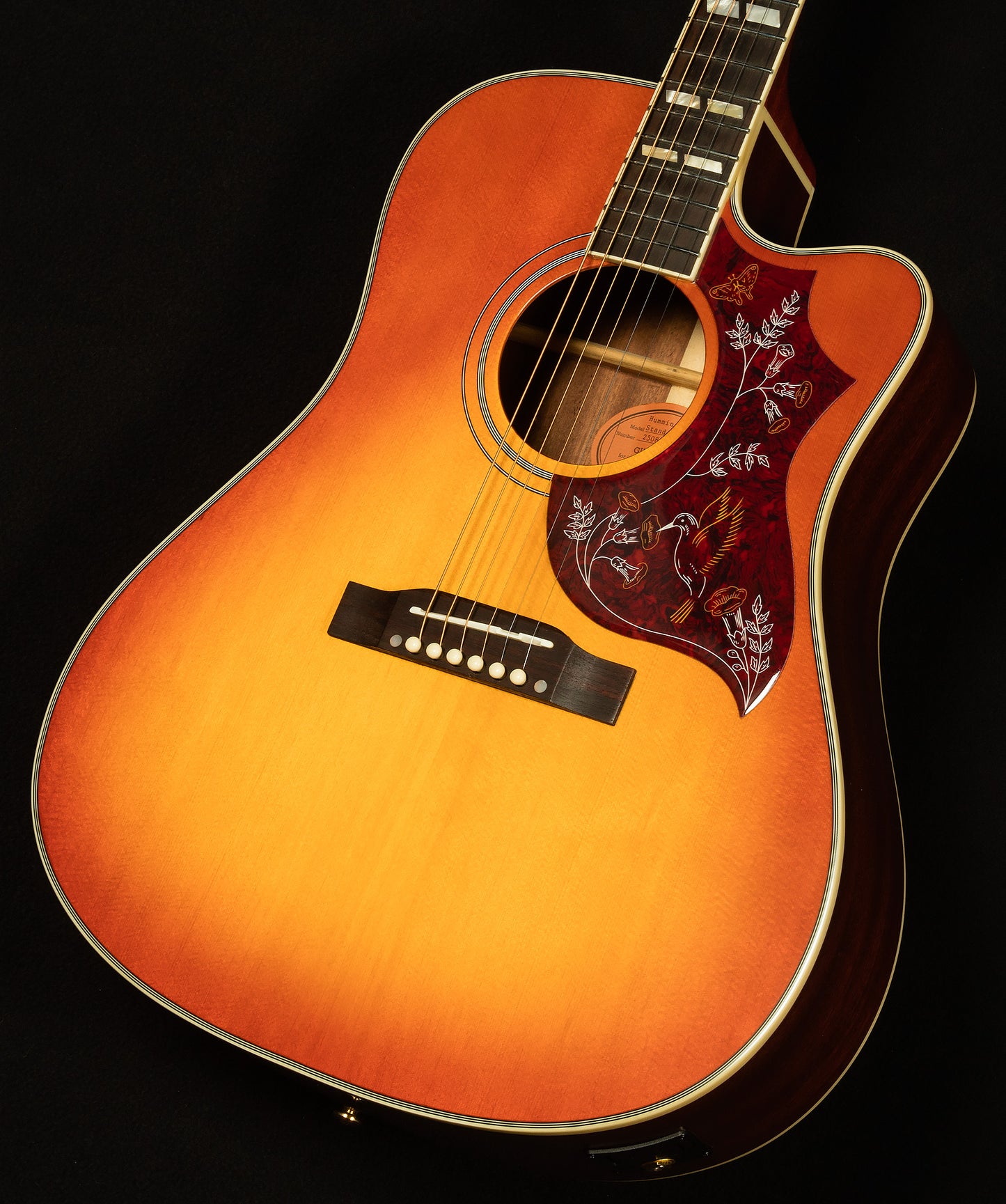 Inspired by Gibson Hummingbird Standard EC