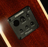 Inspired by Gibson Hummingbird Standard EC