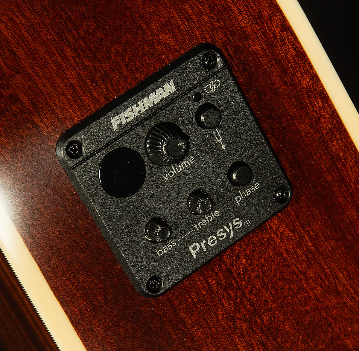 Inspired by Gibson Hummingbird Standard EC