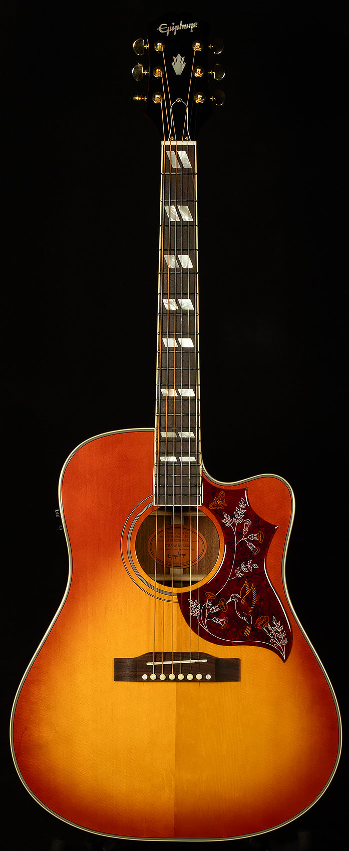 Inspired by Gibson Hummingbird Standard EC
