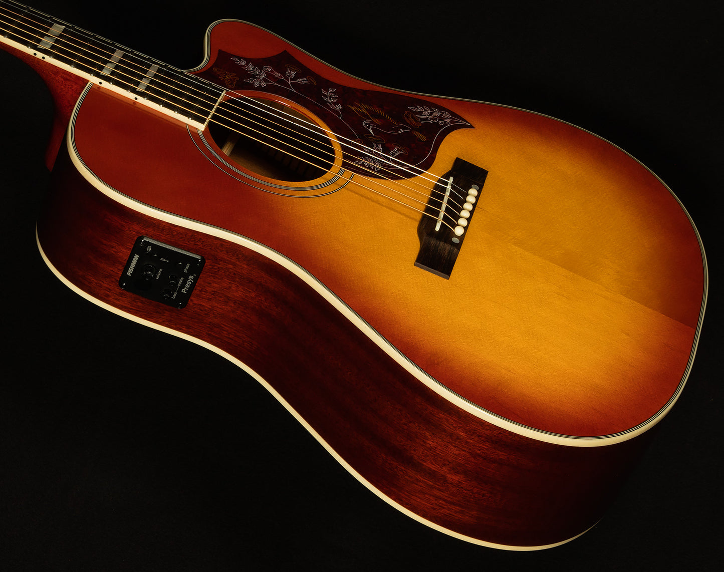 Inspired by Gibson Hummingbird Standard EC