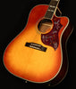 Inspired by Gibson Hummingbird Standard EC