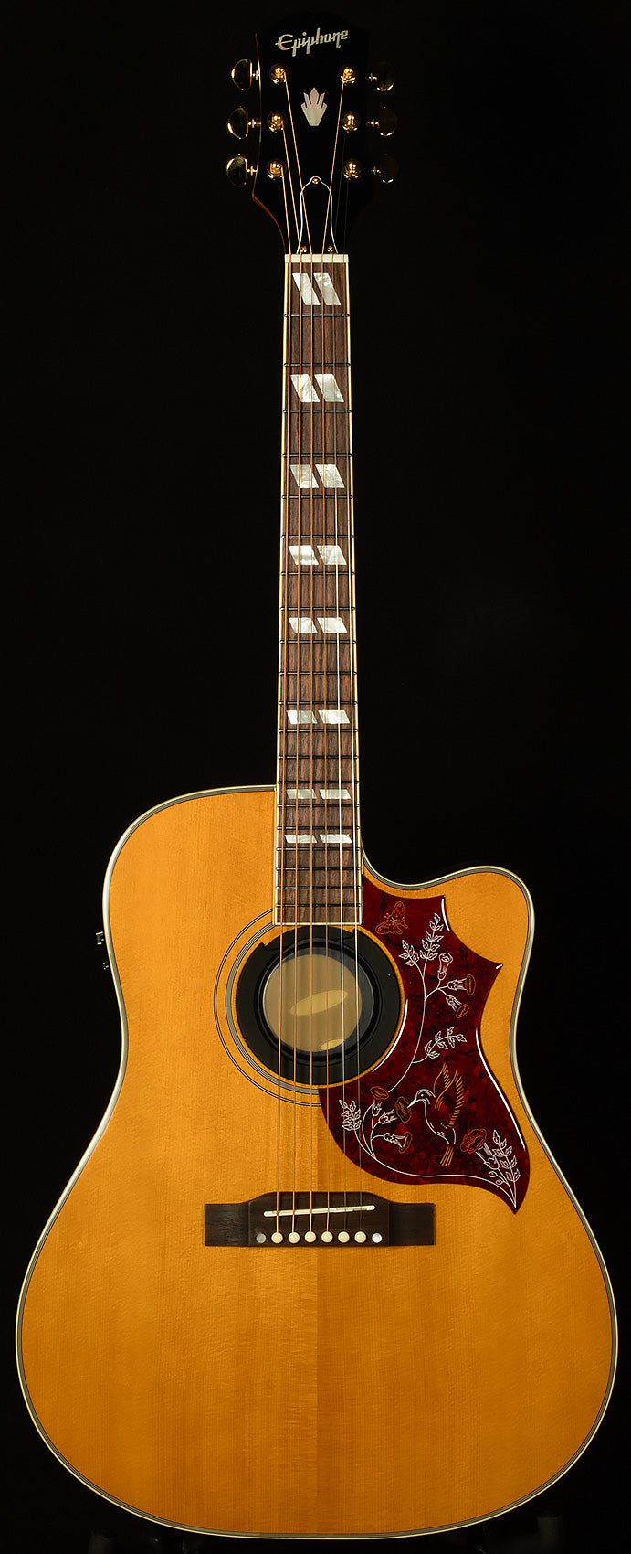 Inspired by Gibson Hummingbird Standard EC