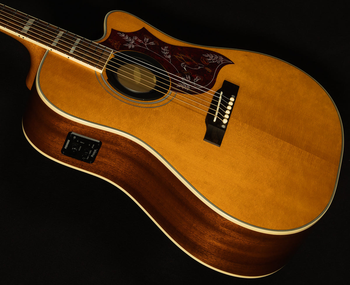 Inspired by Gibson Hummingbird Standard EC