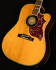 Inspired by Gibson Hummingbird Standard EC