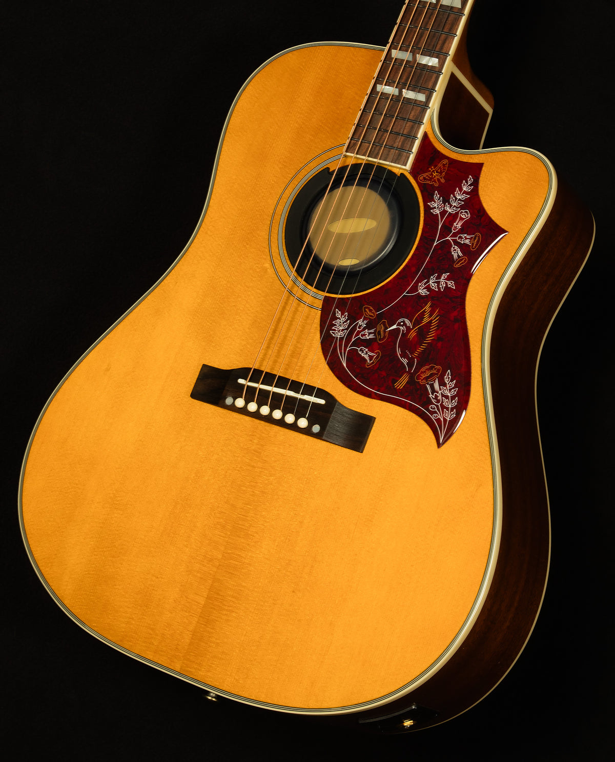 Inspired by Gibson Hummingbird Standard EC