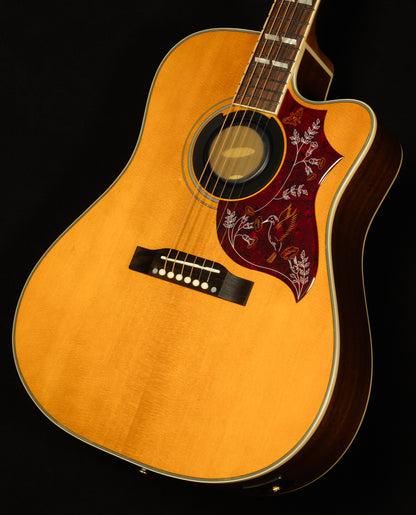 Inspired by Gibson Hummingbird Standard EC