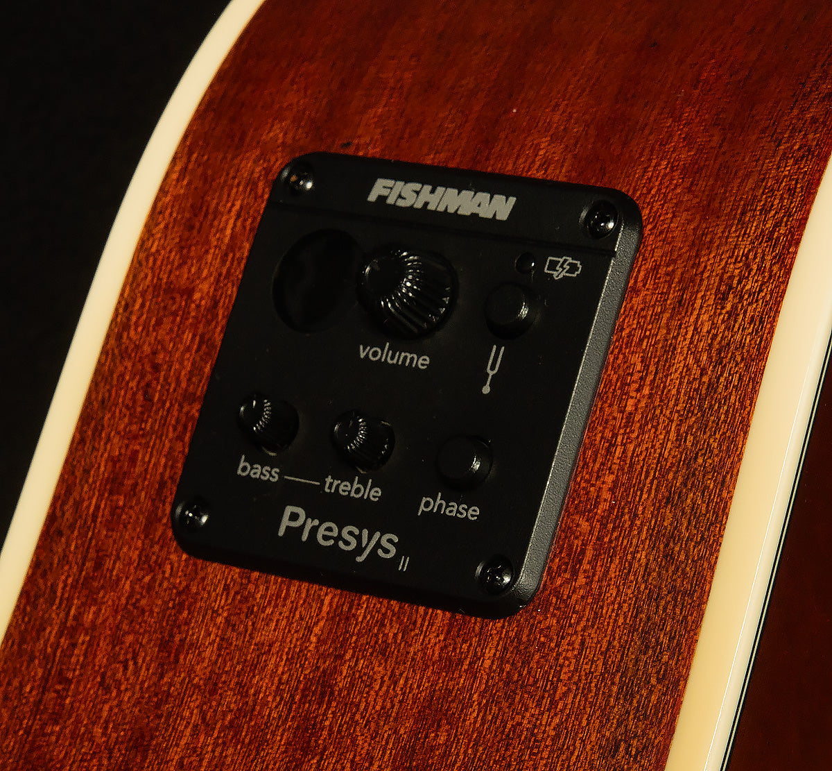Inspired by Gibson J-45 Standard EC