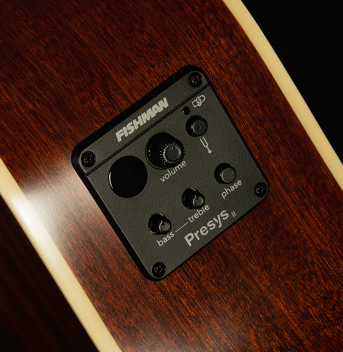 Inspired by Gibson J-45 Standard EC