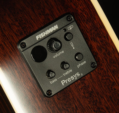 Inspired by Gibson J-45 Standard EC