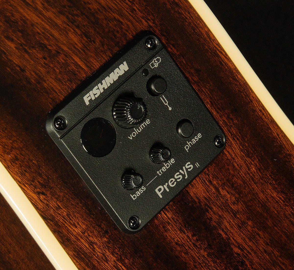 Inspired by Gibson J-45 Standard EC