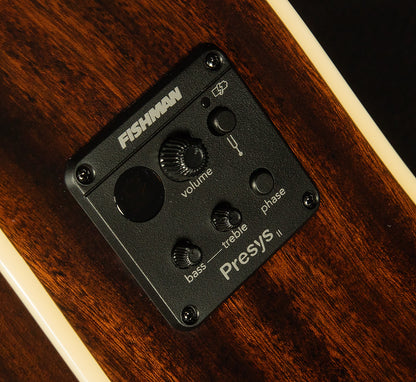 Inspired by Gibson J-45 Standard EC