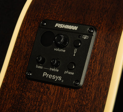 Inspired by Gibson J-45 Standard EC
