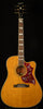 Inspired by Gibson Hummingbird Standard EC