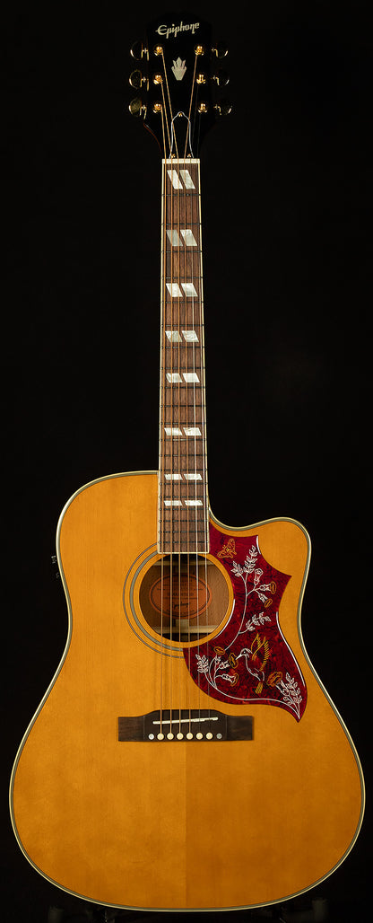 Inspired by Gibson Hummingbird Standard EC