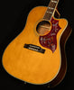 Inspired by Gibson Hummingbird Standard EC