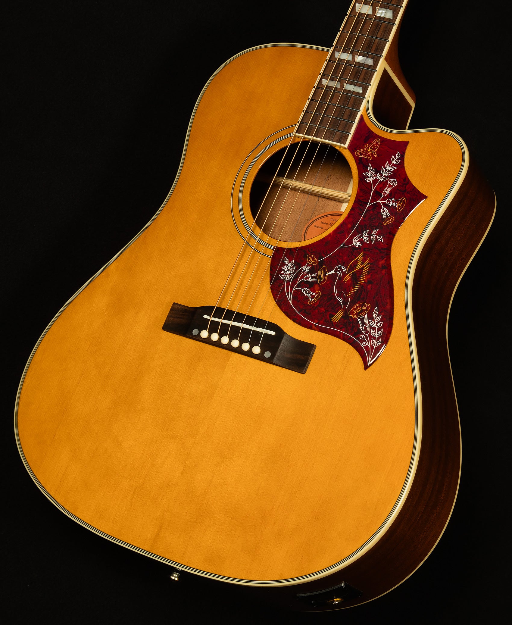 Inspired by Gibson Hummingbird Standard EC