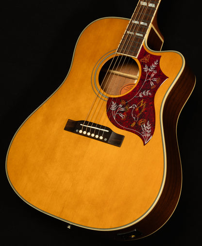 Inspired by Gibson Hummingbird Standard EC