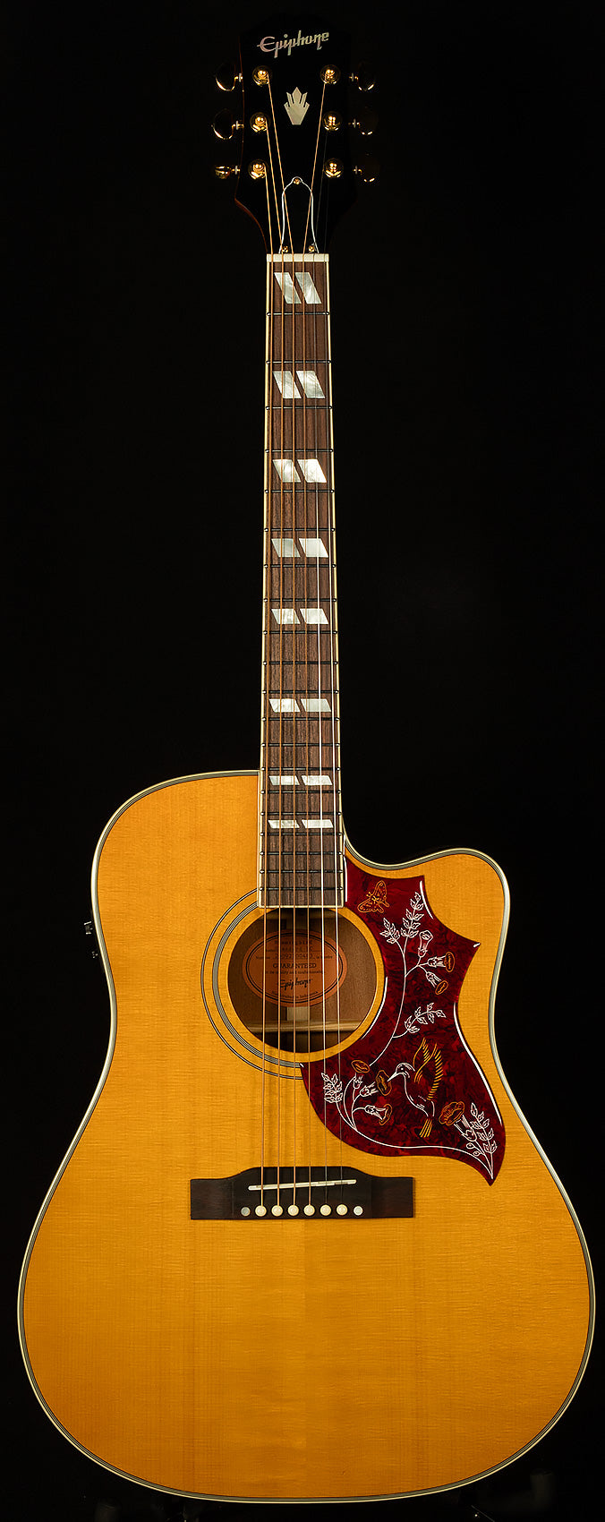 Inspired by Gibson Hummingbird Standard EC