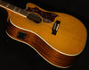 Inspired by Gibson Hummingbird Standard EC