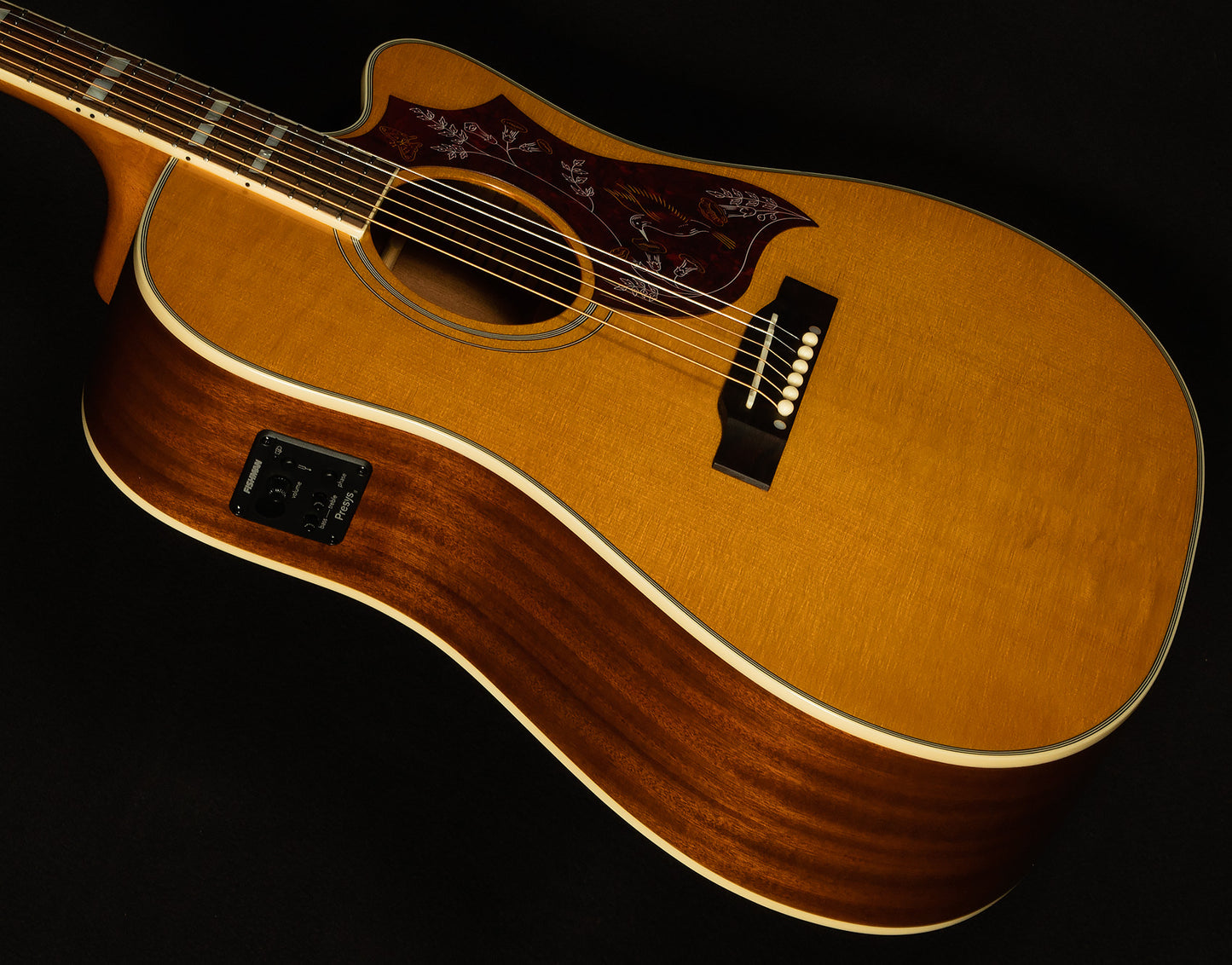 Inspired by Gibson Hummingbird Standard EC