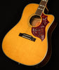 Inspired by Gibson Hummingbird Standard EC