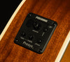 Inspired by Gibson Hummingbird Standard EC