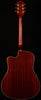 Inspired by Gibson Hummingbird Standard EC