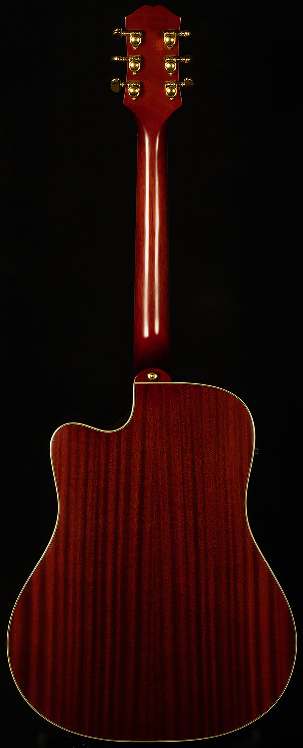 Inspired by Gibson Hummingbird Standard EC
