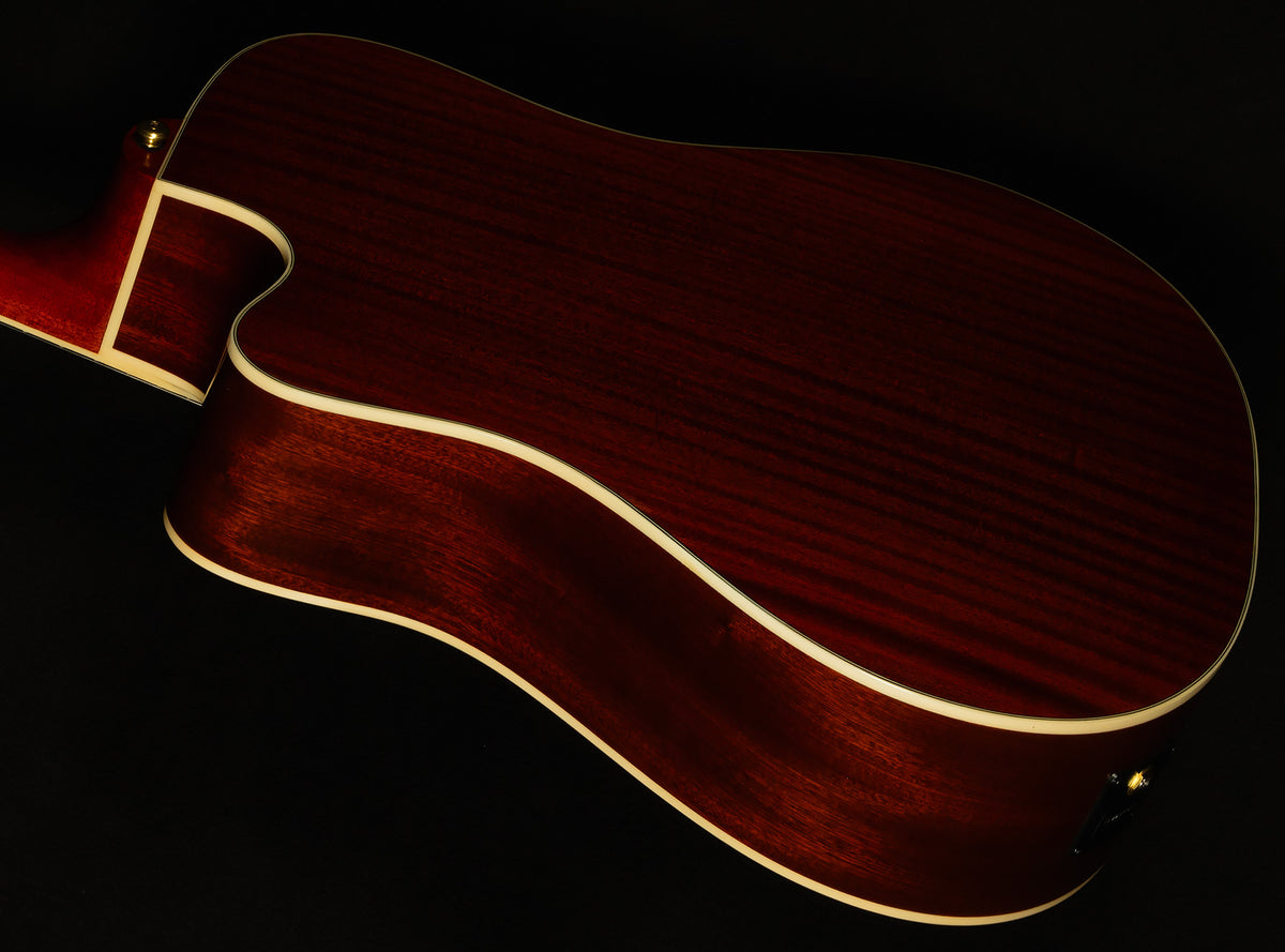 Inspired by Gibson Hummingbird Standard EC