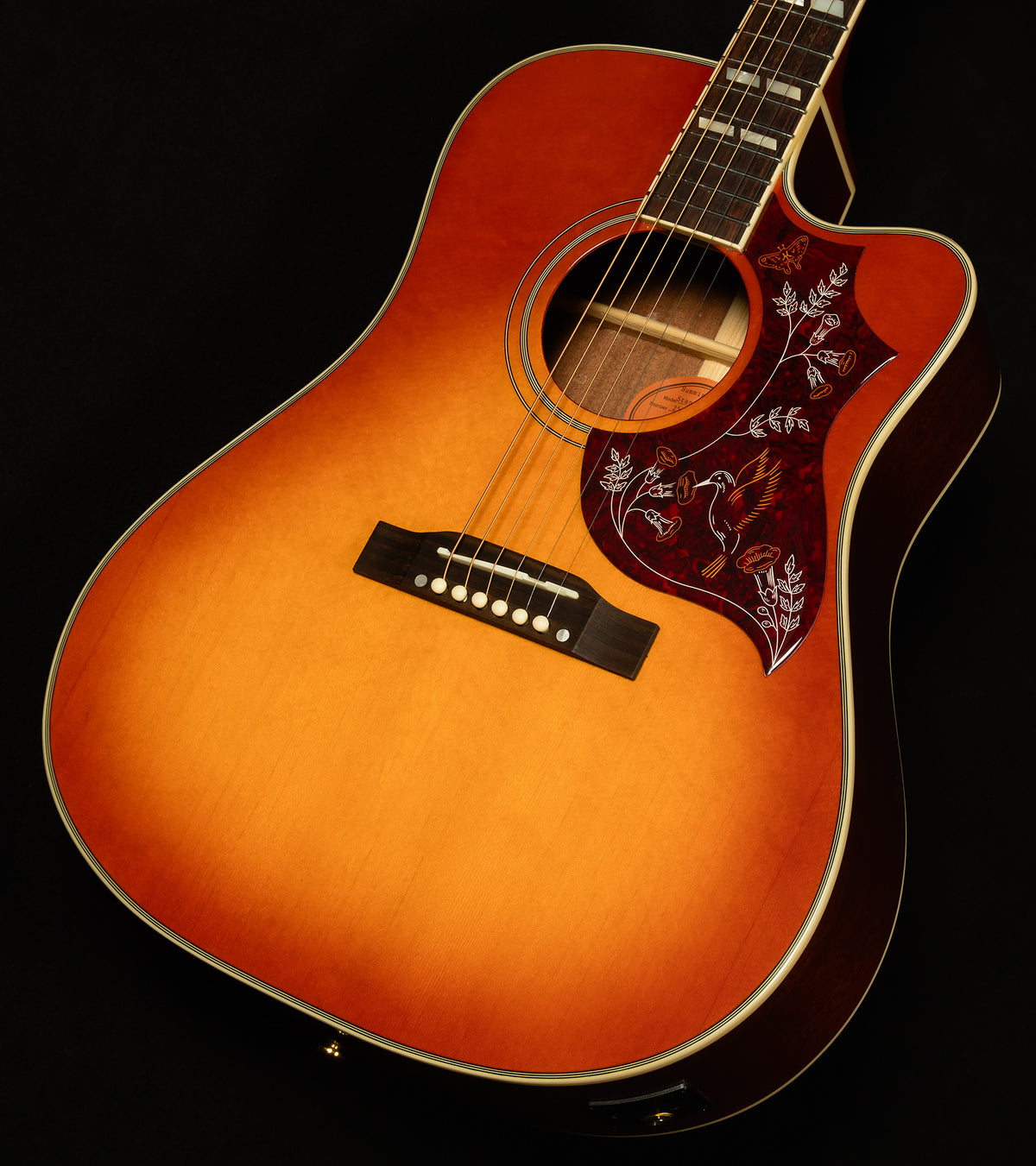 Inspired by Gibson Hummingbird Standard EC