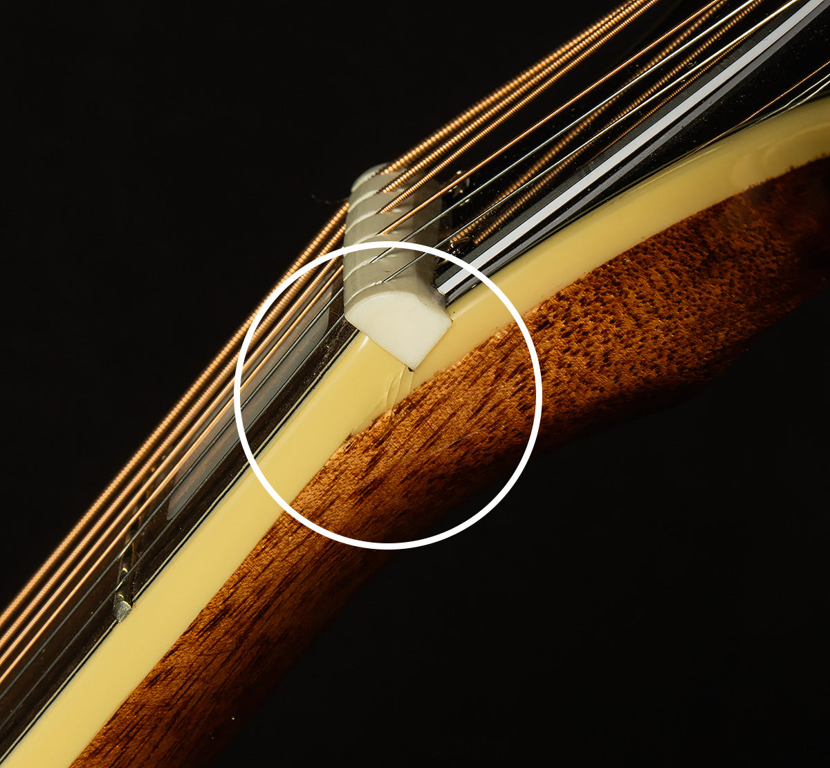 Marcus King Signature El Dorado
