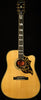 Inspired by Gibson Custom Hummingbird Deluxe EC