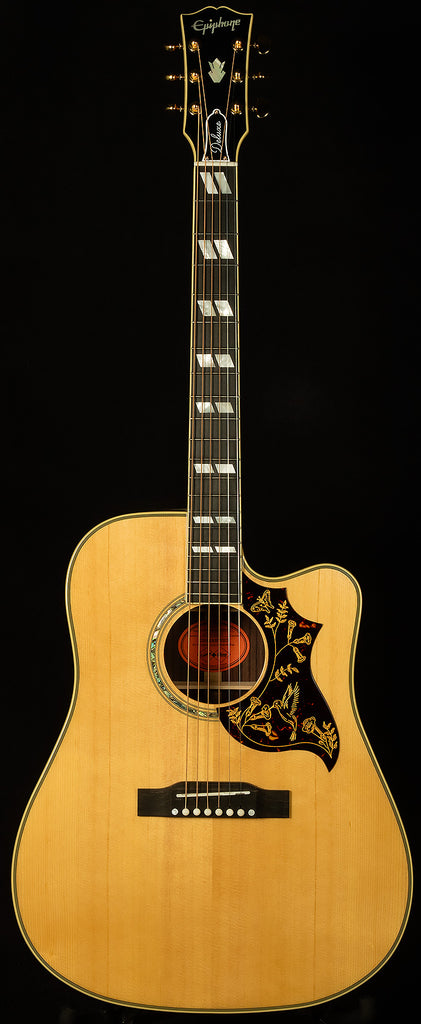 Inspired by Gibson Custom Hummingbird Deluxe EC