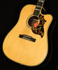 Inspired by Gibson Custom Hummingbird Deluxe EC