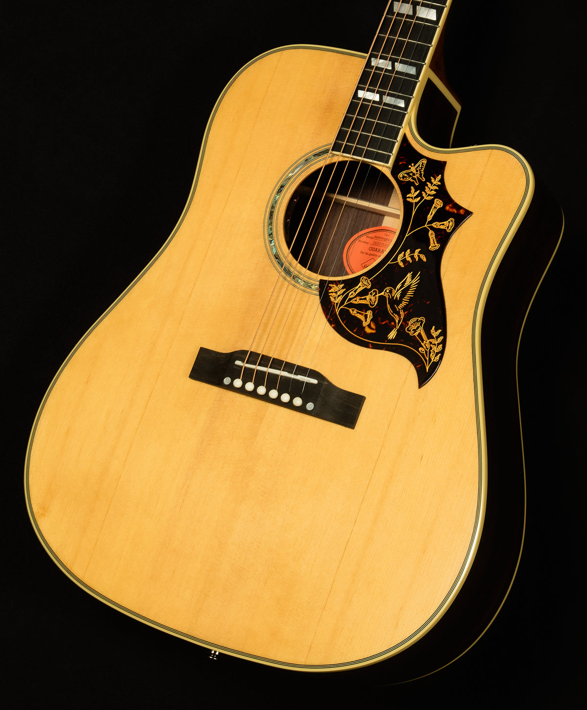 Inspired by Gibson Custom Hummingbird Deluxe EC