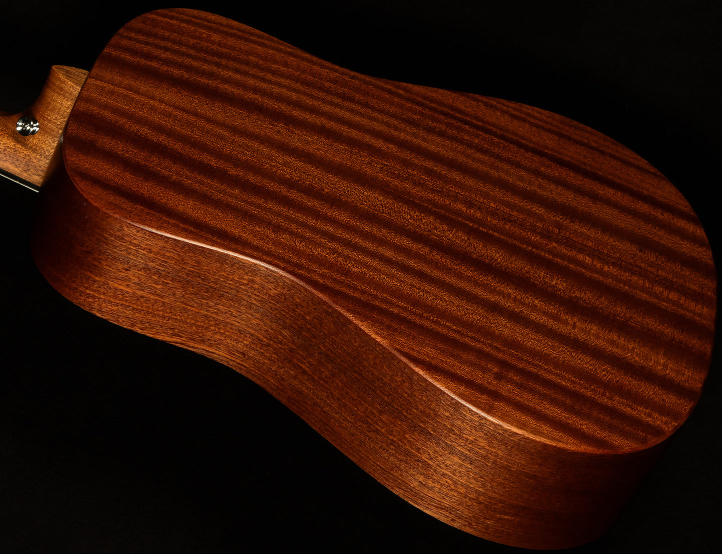 D Junior E StreetLegend Burst