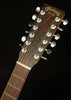 D-X2E 12-String