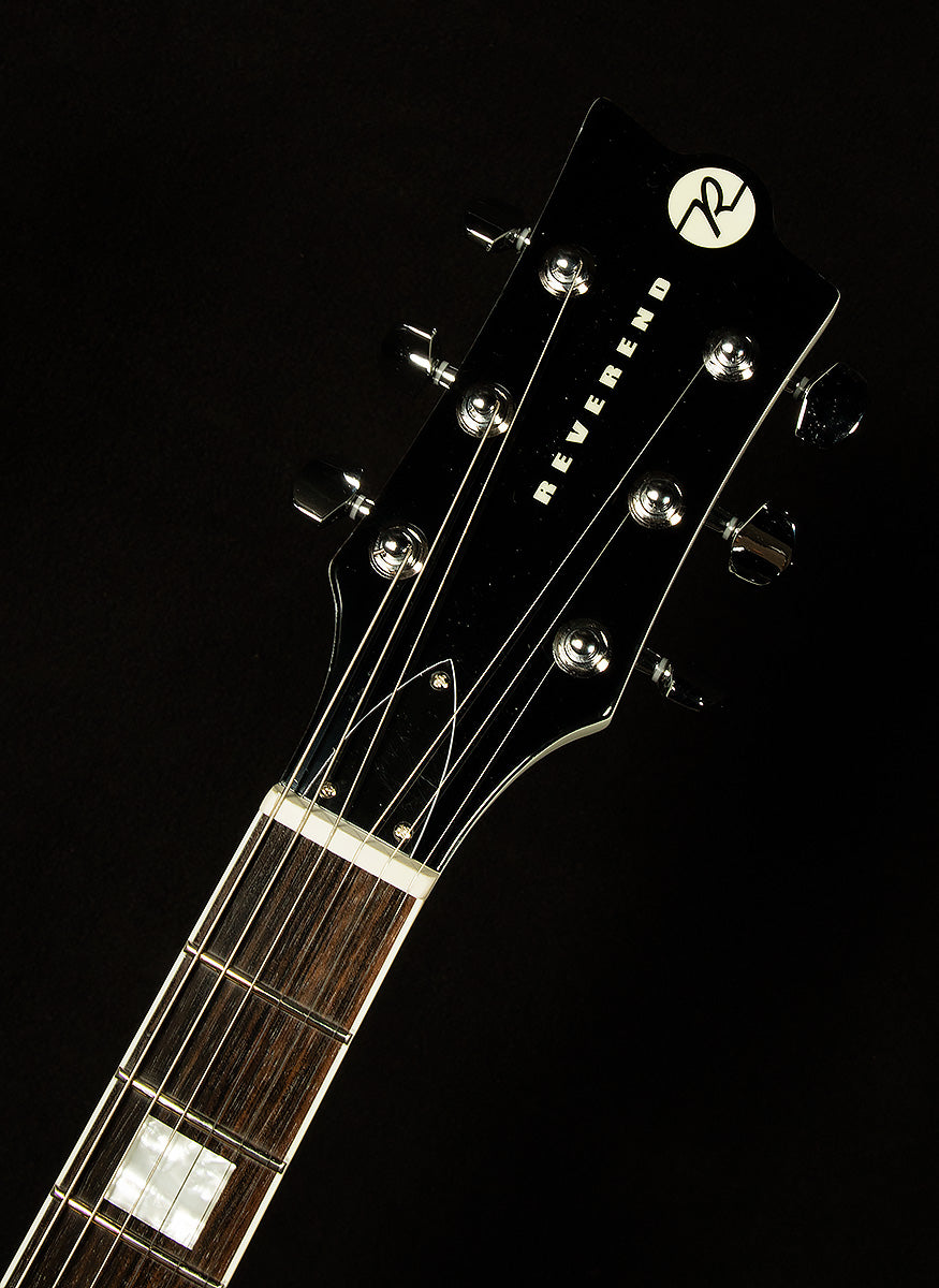 Robin Finck Signature