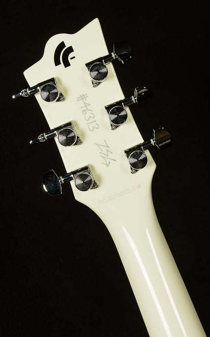 Robin Finck Signature