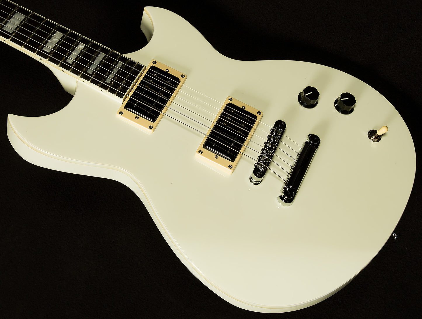 Robin Finck Signature