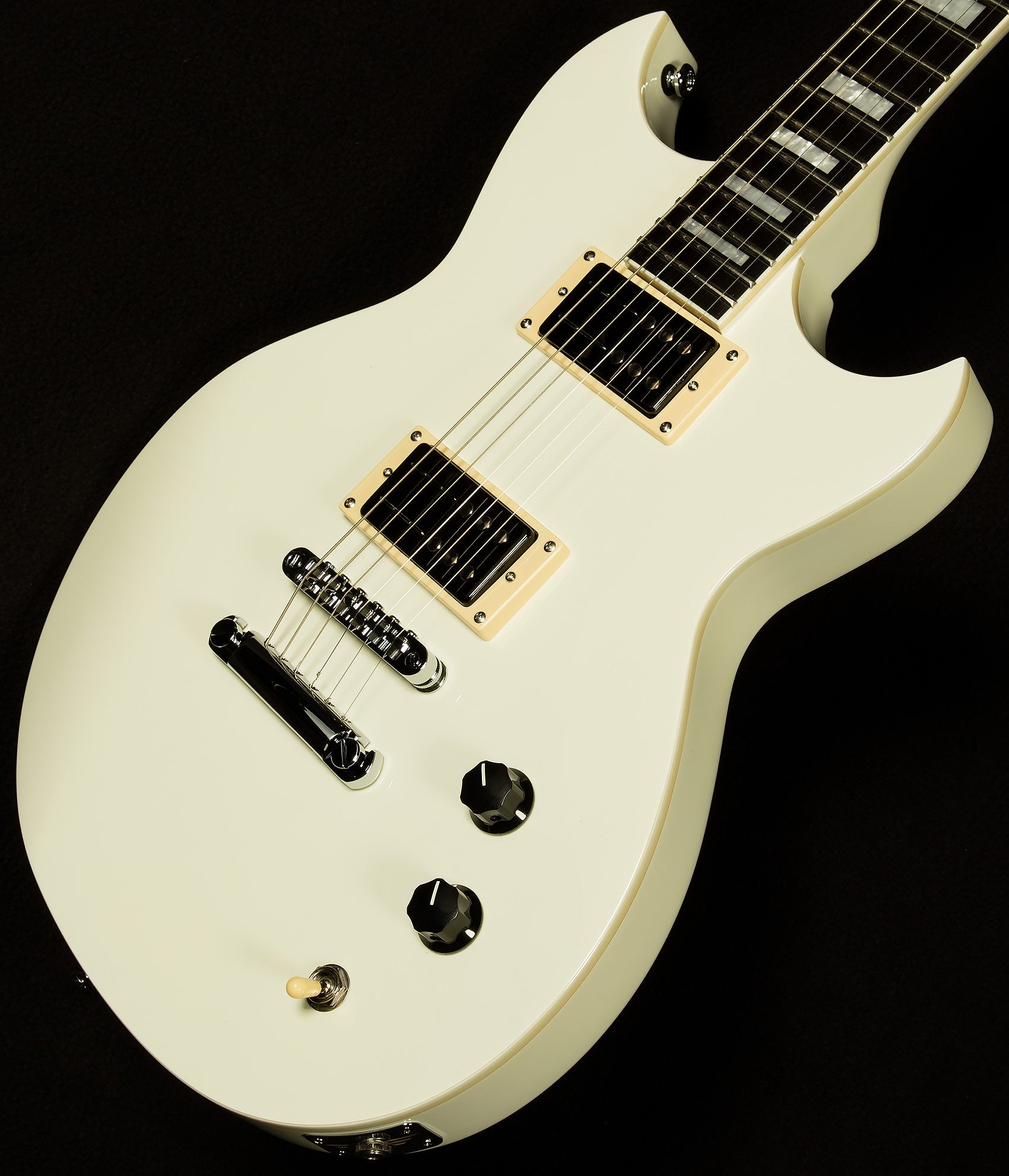 Robin Finck Signature