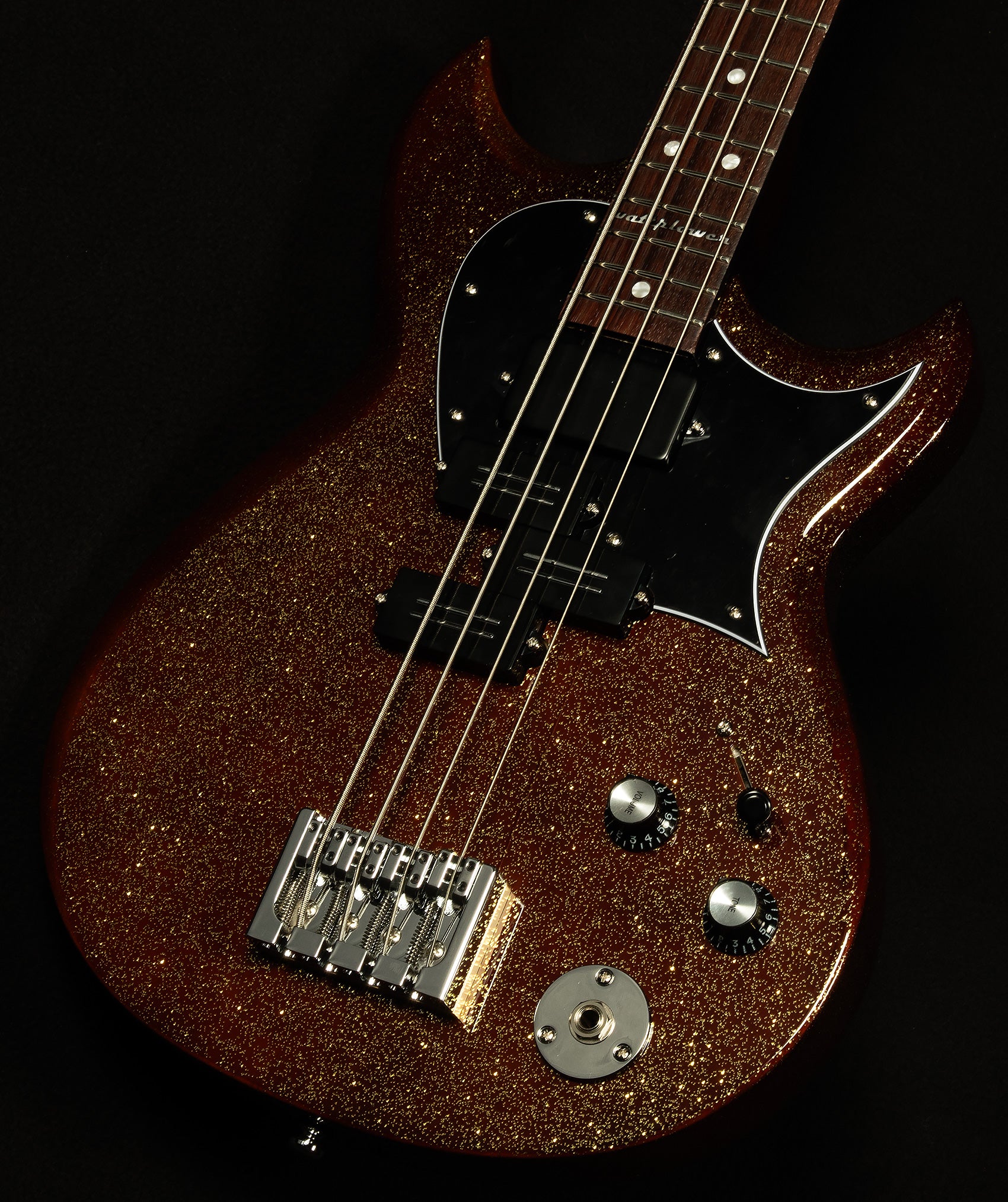 Mike Watt Signature Wattplower Mark II Bass