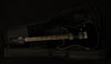 Pete Thorn Signature Standard HH