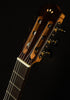 Iberia Series GK Studio Negra
