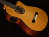 Fusion Series 12 CD