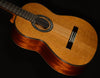 Luthier Series C9 CD 12-Fret