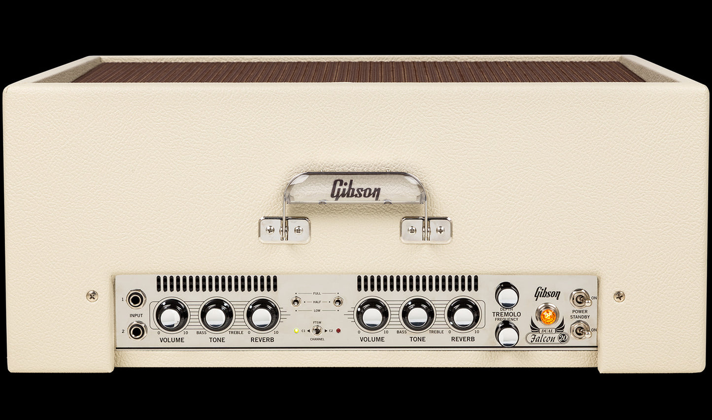 Dual Falcon 2x10 Combo